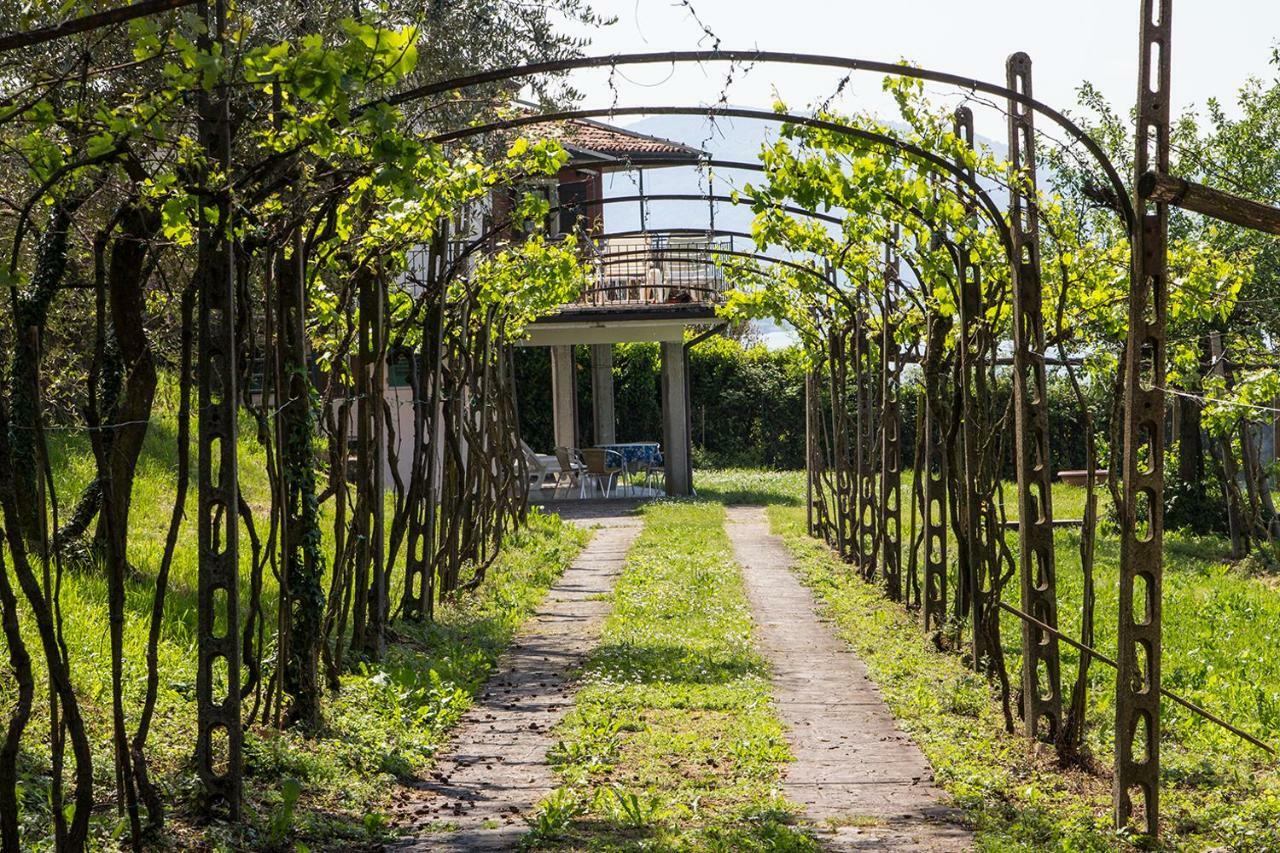 Villa Florida App Pelikan Oben Und App Sandpiper Unten Pilzone Экстерьер фото